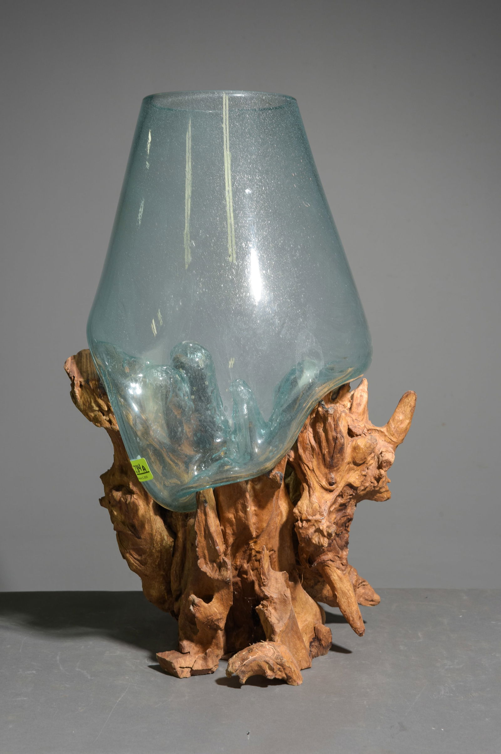 Large Blown Glass & Driftwood Terrarium #1 (1 of 5)