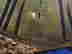 item-15059388=4