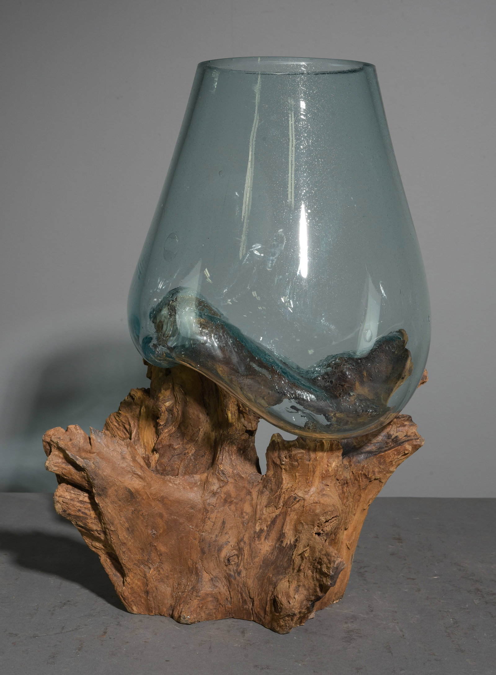 Hand Blown Large Molten Glass & Driftwood Terrarium #2: Hand Blown Large Molten Glass & Driftwood Terrarium - 21 in tall x 16 x 13