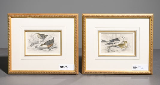 2 Gold Framed Fowl / Bird Etchings