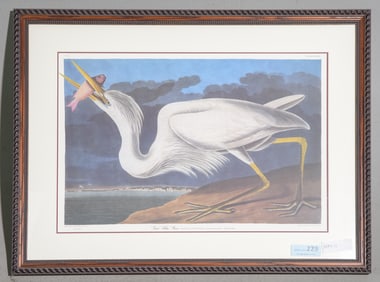 Framed Great White Heron Engraving Plate CCLXXXI