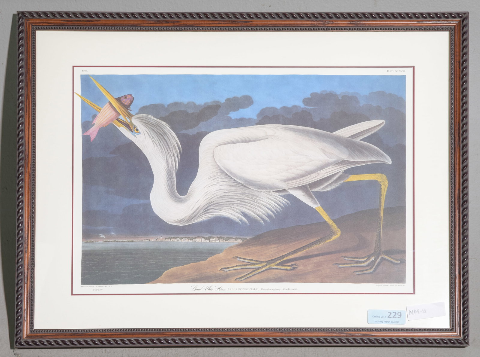 Framed Great White Heron Engraving Plate CCLXXXI: Framed Great White Heron Engraving Plate CCLXXXI engraved, printed and colored by R. Havell 1835 number 393 of 2000 - This was drawn from nature by J.J. Audubon - 23.5 in tall x 31 x 1