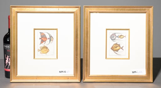 Two Gold Framed Fish Hand Embellished Lithographs