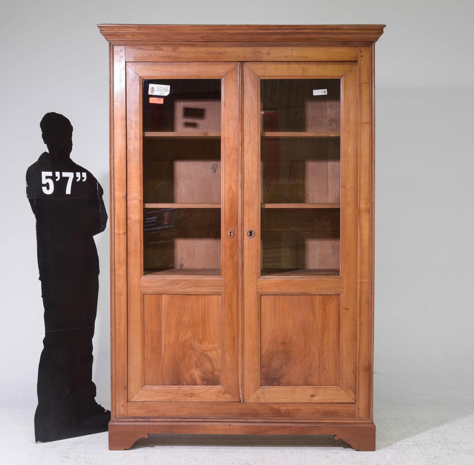 French Double Door Bookcase / Cupboard (1 of 8)