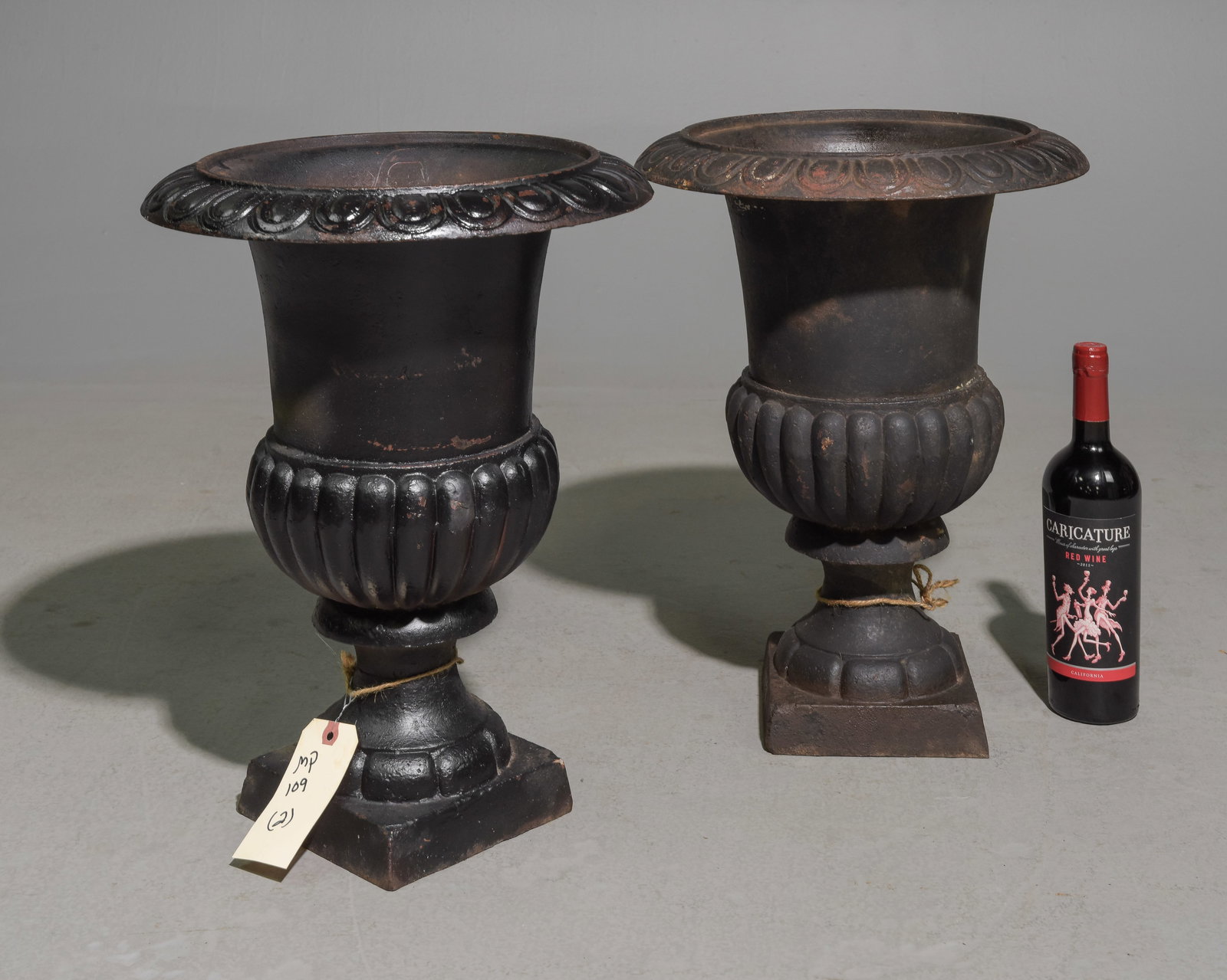 Two Classical Style Cast Iron Planters (1 of 3)