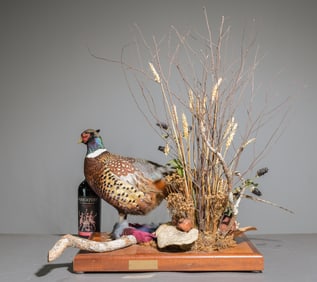 Taxidermy Ringneck Pheasant - Natural Decoration Inc.