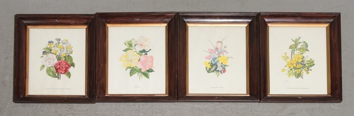 Four Wood Framed Botanical Illustrations