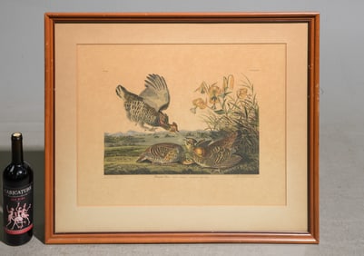 Framed Quail Engraving