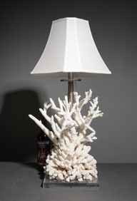 Coral & Lucite Table Lamp with Shade