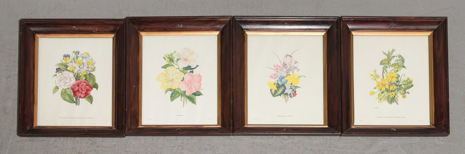 Four Wood Framed Botanical Illustrations: Four Wood Framed Botanical Illustrations - 19.5 in tall x 15.75 x 1.75 each - This lot consists of "Bouquet de Camelias Narcisses et Pensees" P.J. Redoute, "Hibiscus" Paul Jones delt. K.G. Lobse sculp