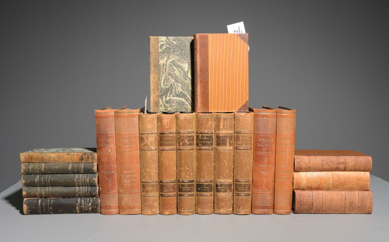 20 Leather Bound European Books / Novels (1 of 7)