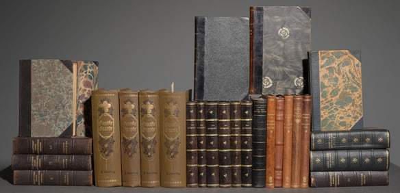 27 Assorted European Leather Bound Novels / Books #2