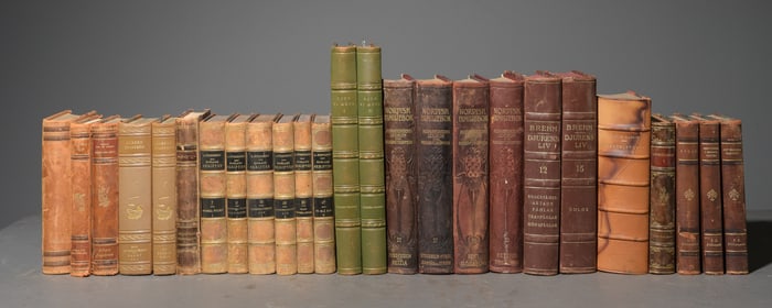 25 Assorted Leather Bound European Books