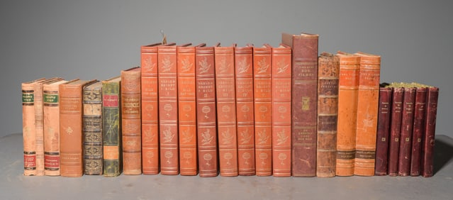 24 Assorted Leather Bound European Books