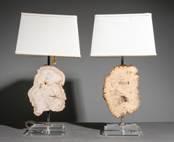 2 Petrified Wood Lamps with Acrylic / Lucite Bases