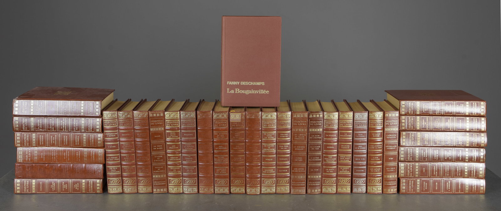 32 Assorted French Leather Bound Books (1 of 6)