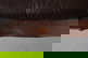 item-210771642=5