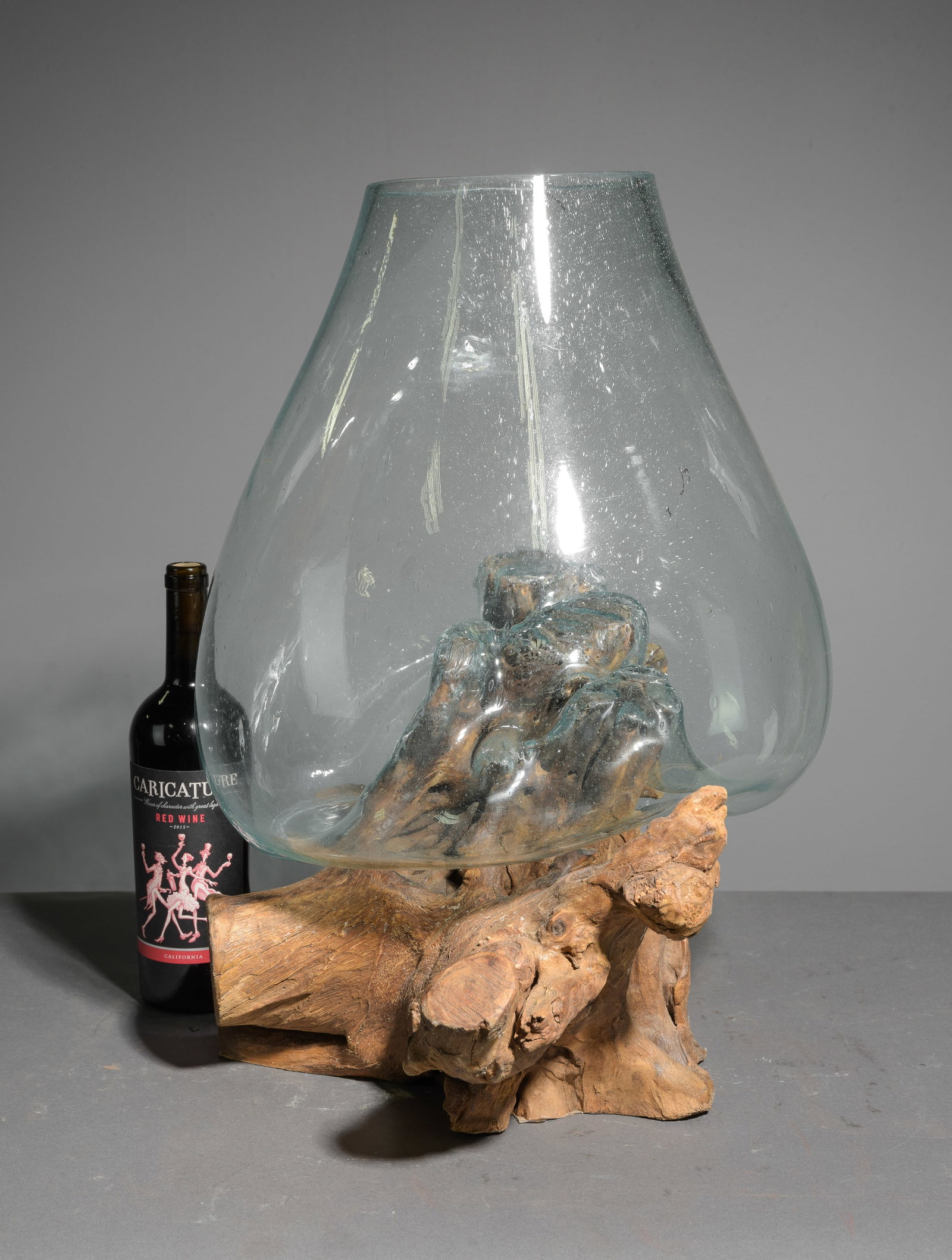 Large Blown Glass & Driftwood Terrarium #1: Large Blown Glass & Driftwood Terrarium - 22 in tall x 21 x 13