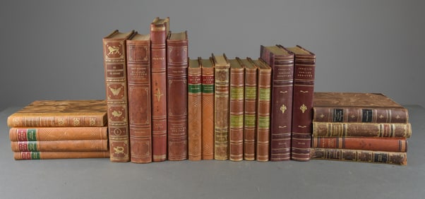 20 Leather Bound European Books / Novels #2