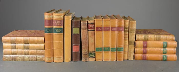 20 Leather Bound European Books / Novels #3