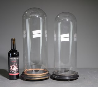 2 Glass Display Domes / Cloches with Wood Bases