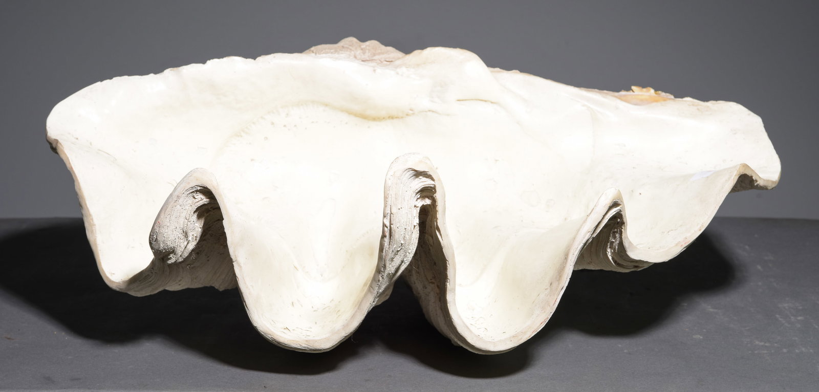 Giant Faux Clam Shell (1 of 7)