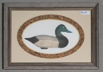 Framed Broadbill Drake Decoy Print 131 of 150