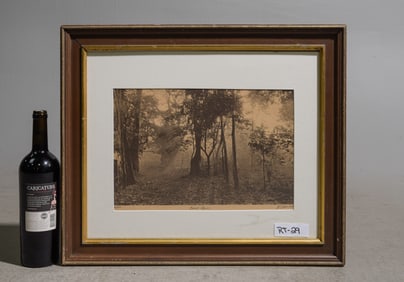 Framed "Bright Woods" Print 44 of 350