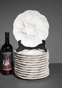 French Set of 12 White Oyster Plates