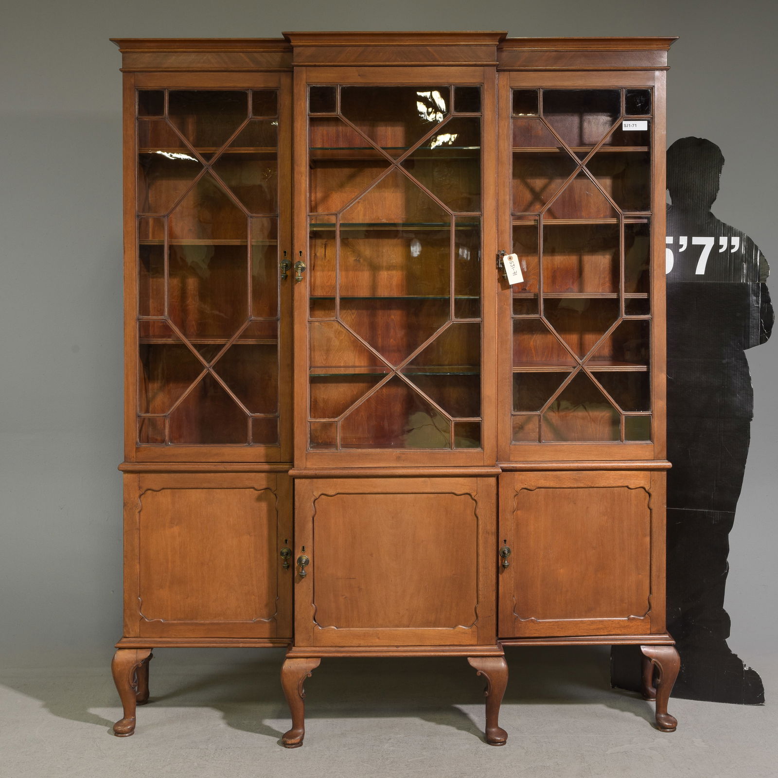 English Mahogany Bookcase / Cupboard (1 of 8)