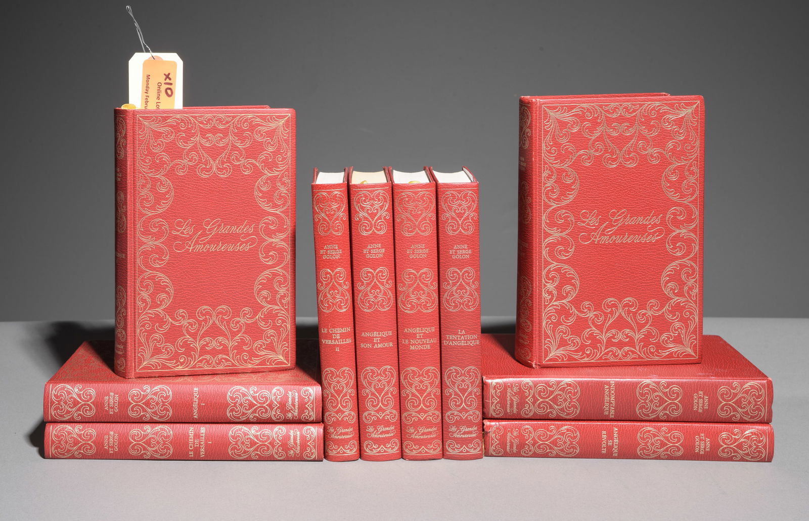 10 Assorted European / French Red Leather Bound Books: 10 Assorted European / French Red Leather Bound Books - 7.5 in tall x 5 x 1