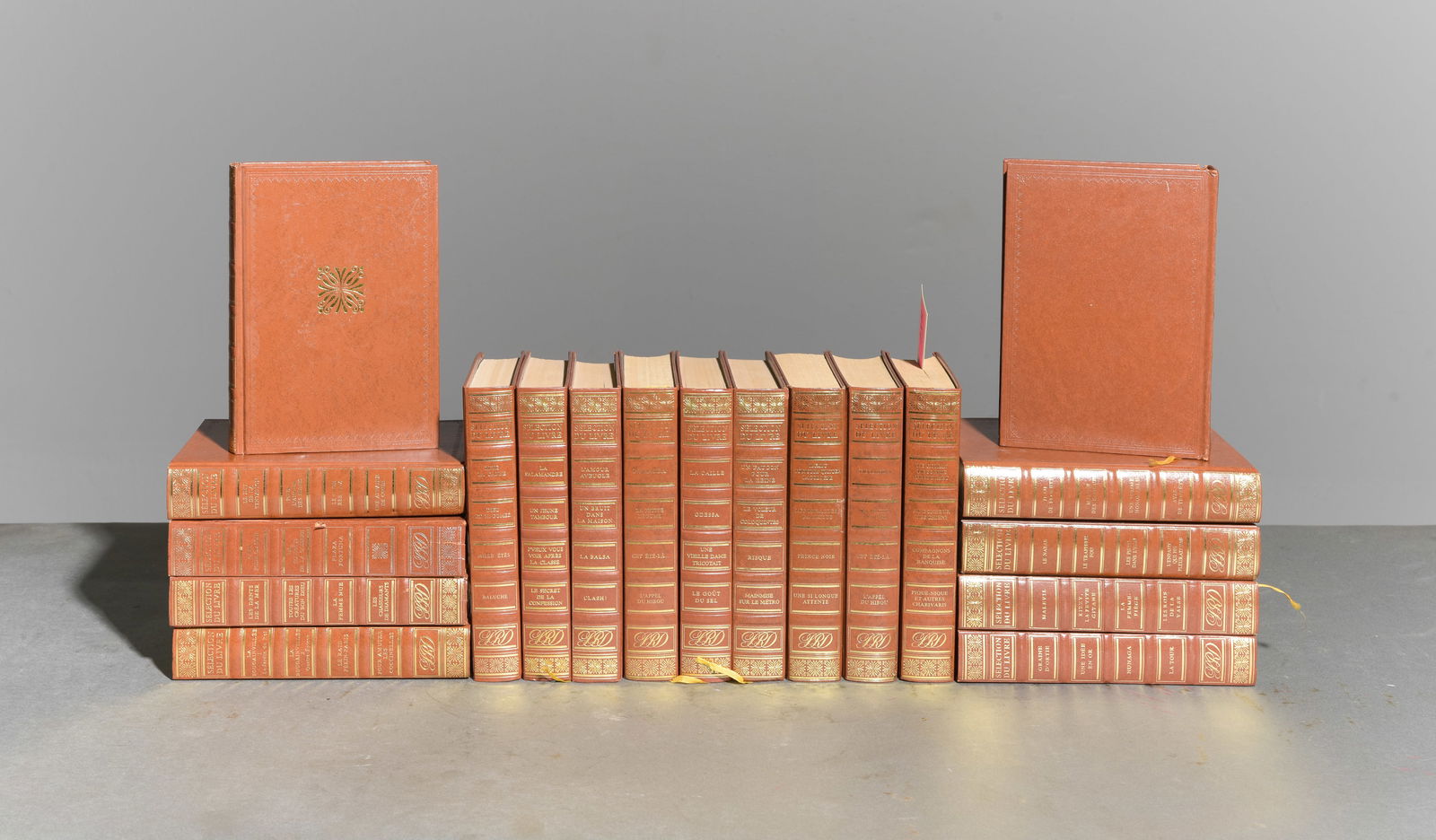 19 Assorted European Books / Novels: Assorted European / French Leather Bound Books - 7.5 in tall x 5.5 x 1.5