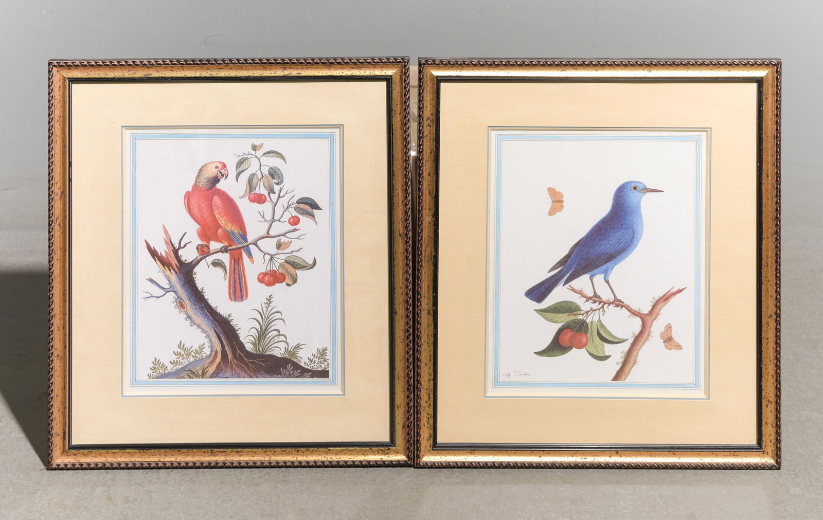 2 Framed Bird / Avian Prints (1 of 5)