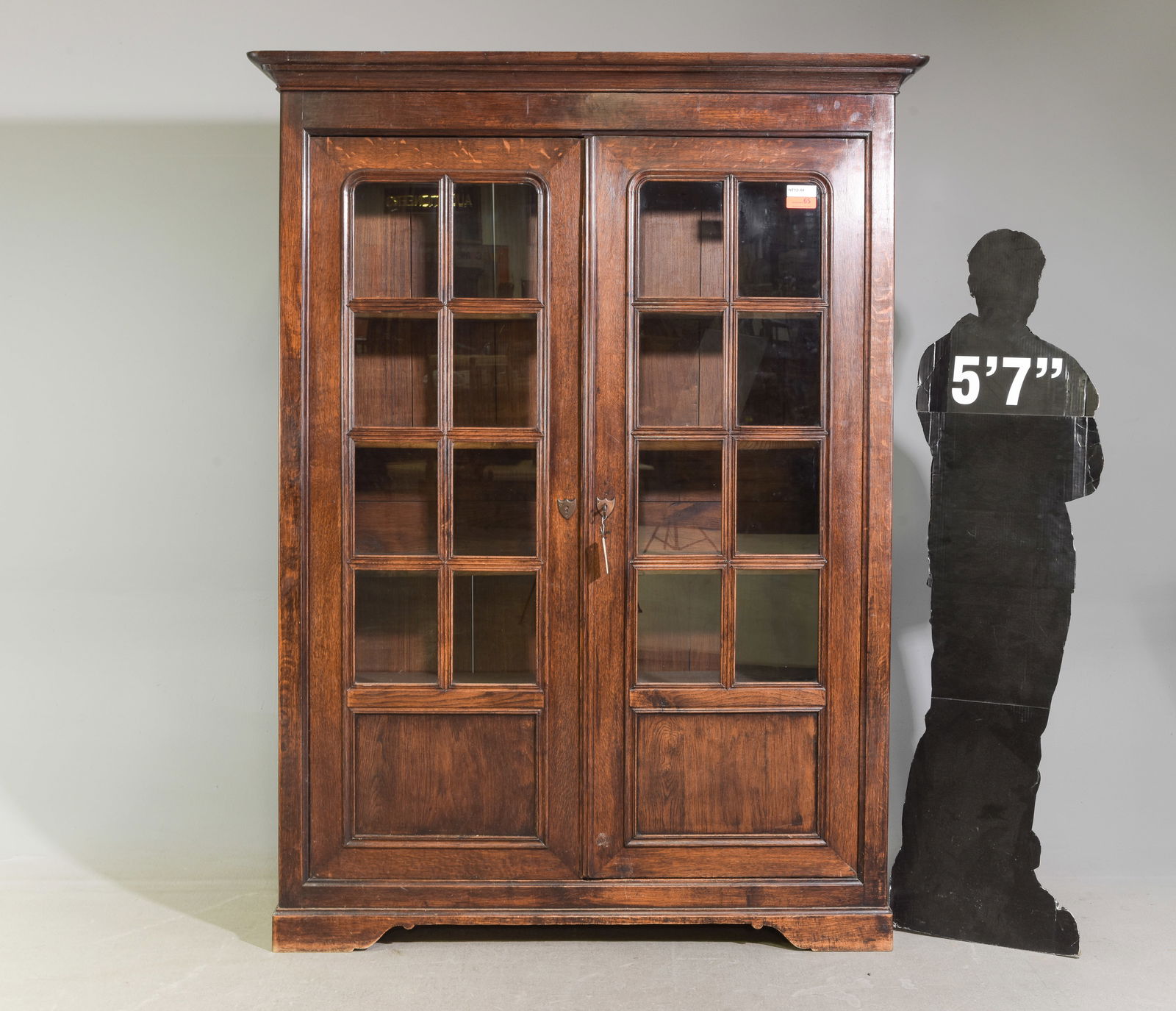 French Double Door Oak Bookcase / Cupboard (1 of 8)