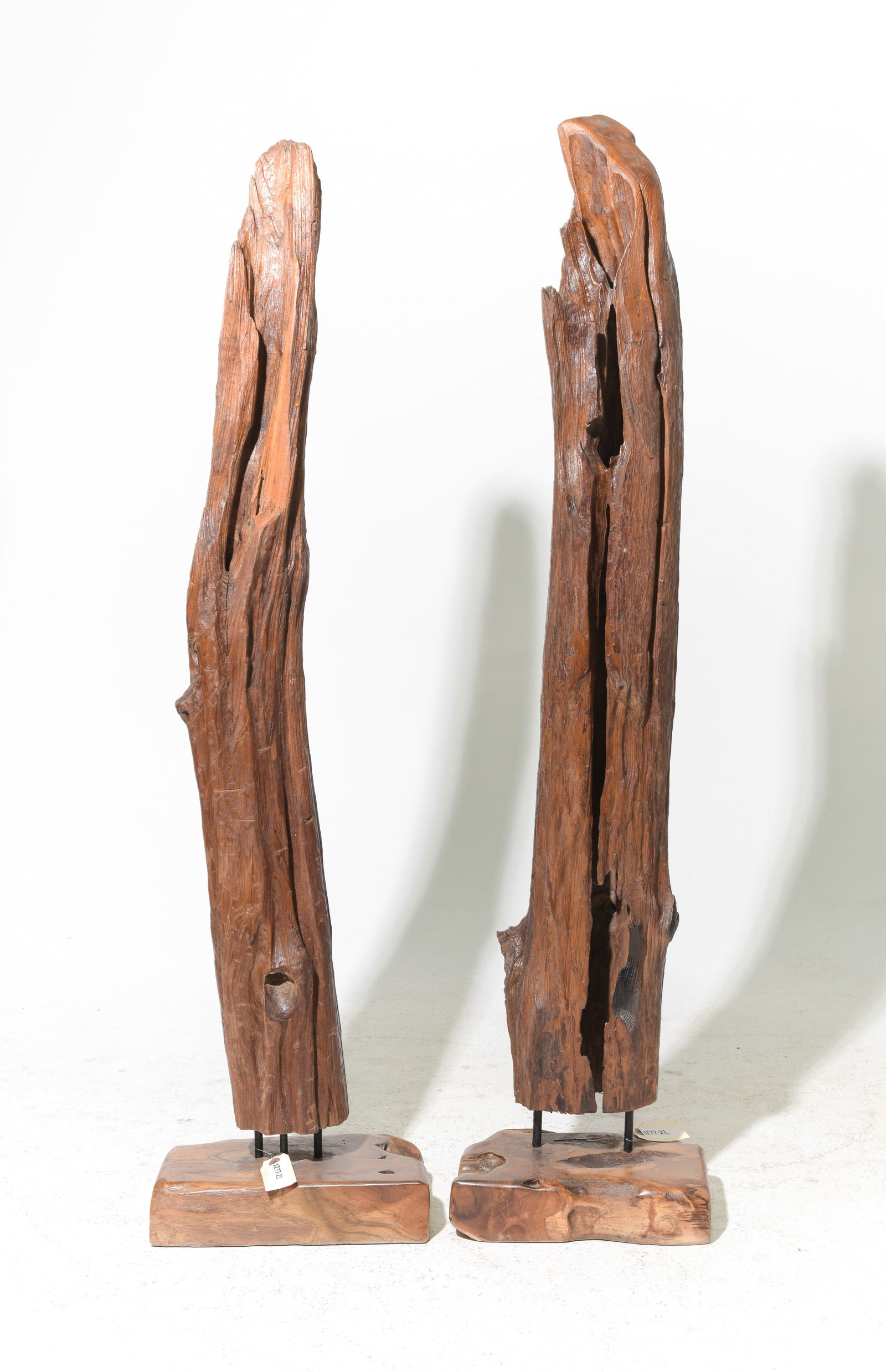 2 Teak Wood Fragments on Stand: 2 Teak Wood Fragments on Stand - 58 in tall x 14 x 9