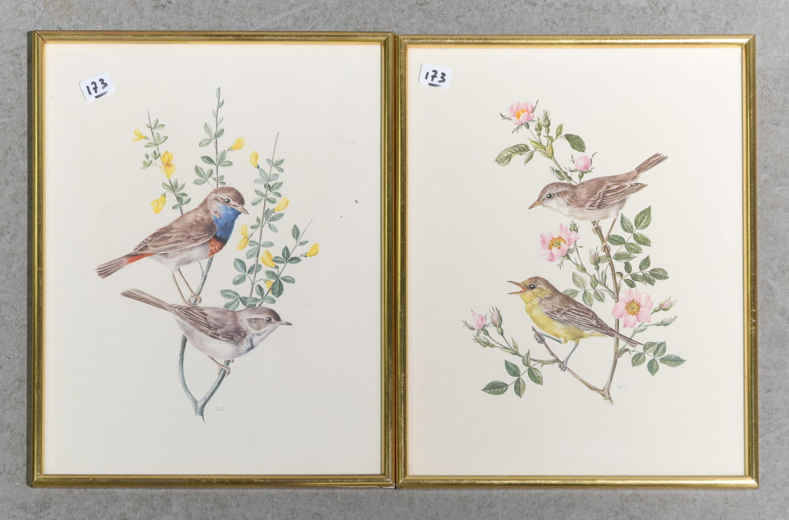 2 Gold Framed Avian / Bird Prints: 2 Gold Framed Avian / Bird Prints - 13.5 in tall x 10.5 x 1 each
