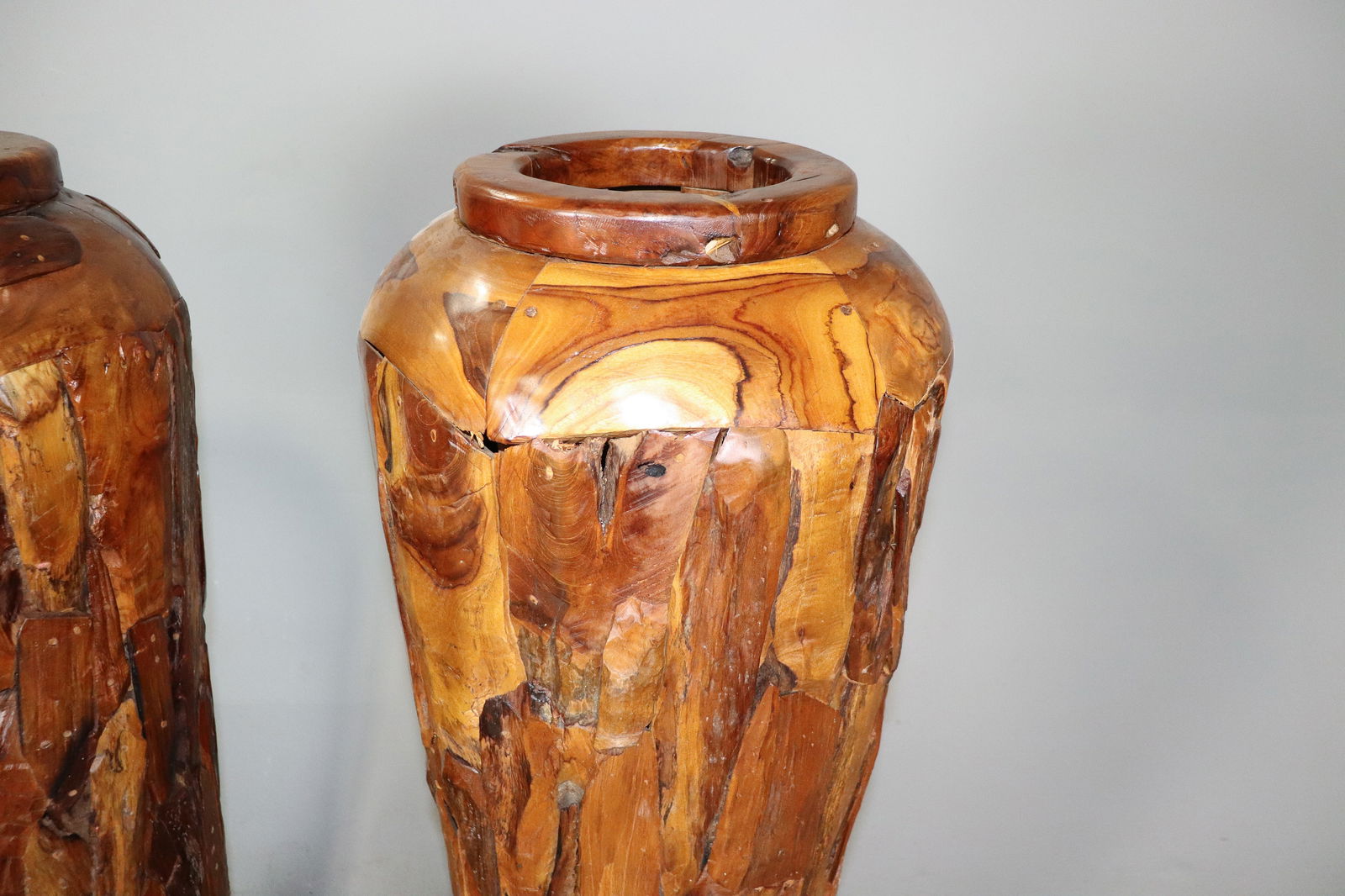 Two Tall Teak Root Vases / Planters - 2