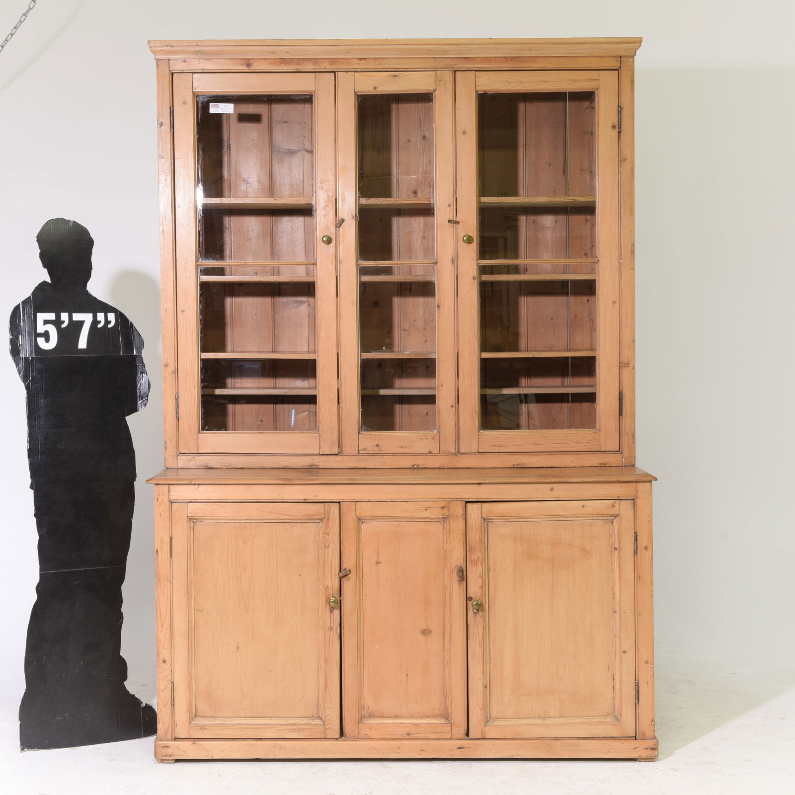 Victorian Pine Bookcase / Cupboard c.1920's-30's (1 of 7)