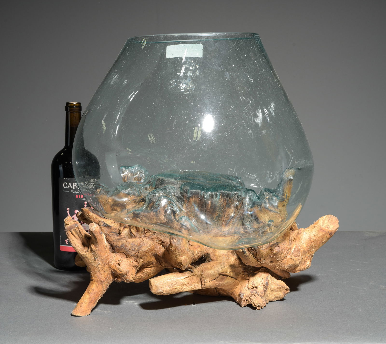 Large Blown Glass & Driftwood Terrarium #1: Large Blown Glass & Driftwood Terrarium - 16.5 in tall x 17 x 15