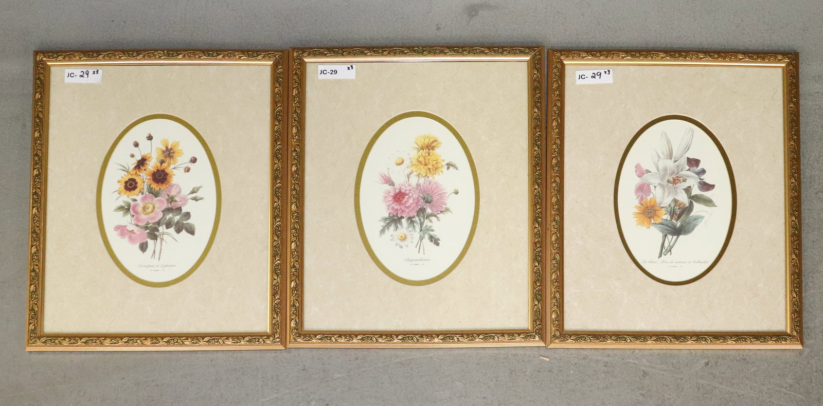 3 Assorted Gold Framed Botanical Prints: 3 Assorted Gold Framed Botanical Prints - 22 in tall x 18 x 1