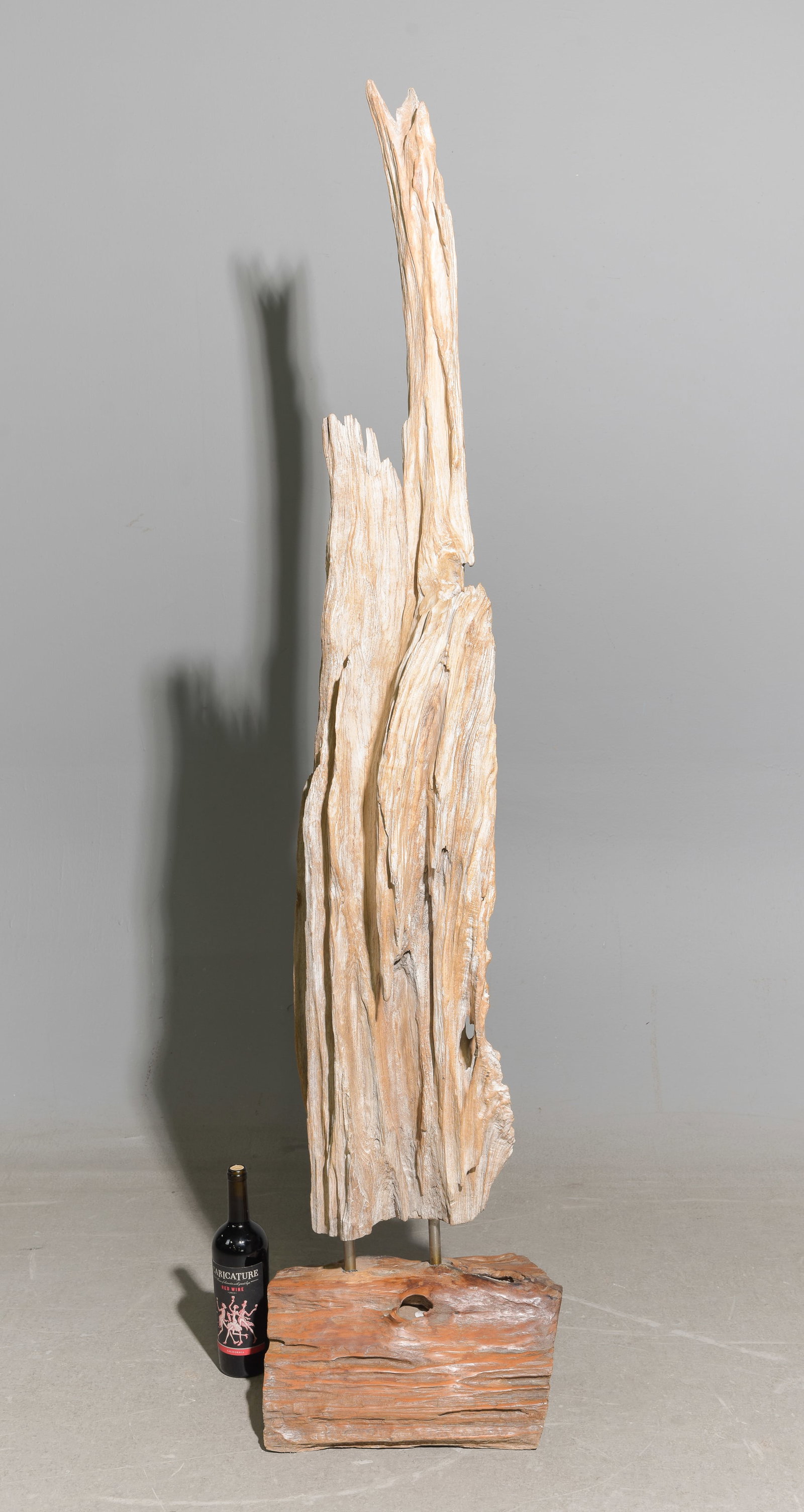 Drift Wood Fragment on Stand (1 of 5)