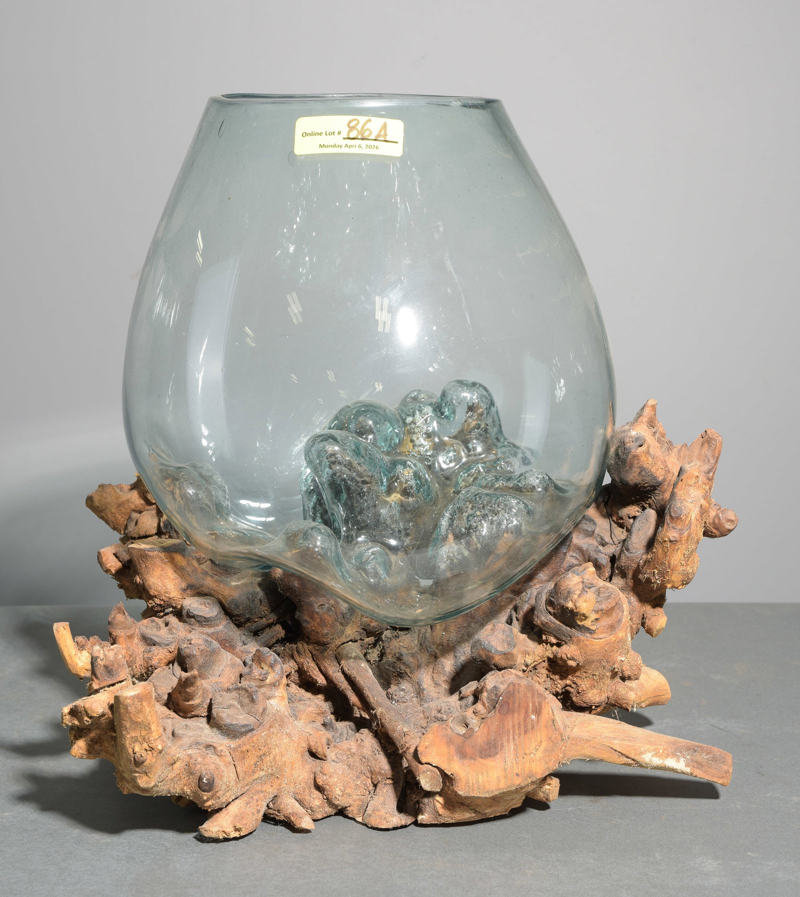 Large Blown Glass & Driftwood Terrarium: Large Blown Glass & Driftwood Terrarium - 18 in tall x 18 x 16