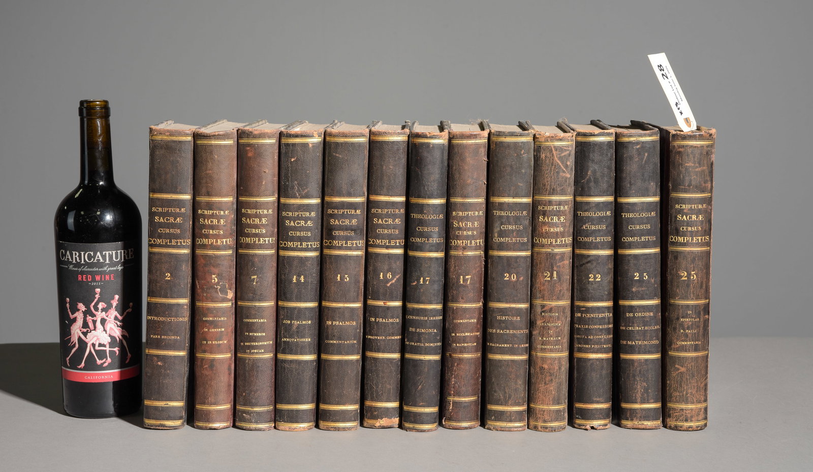 13 Large Biblical French / European Books: 13 Large Biblical Leather Bound French / European Books - 11 in tall x 7.5 x 2