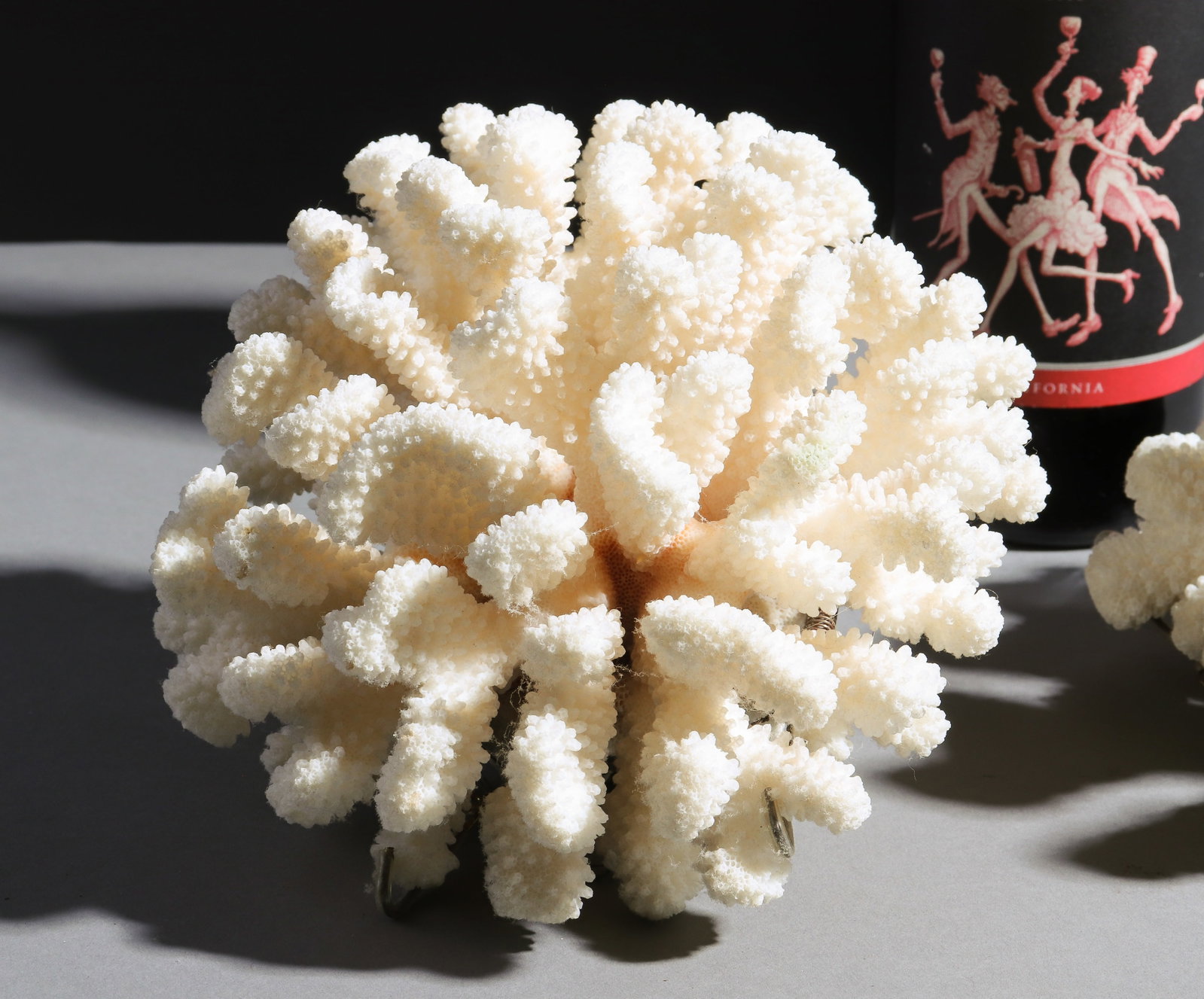 2pcs White Cauliflower Coral Clusters - 3