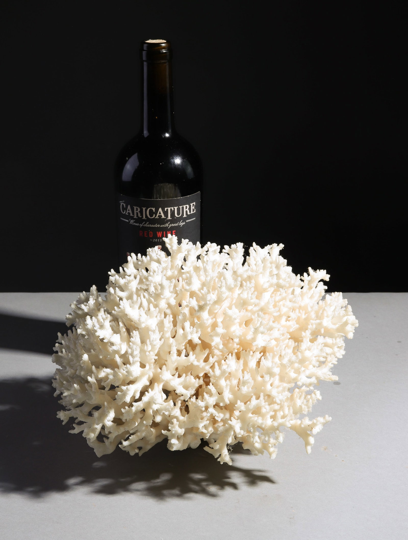 "Birds Nest" White Coral Cluster (1 of 3)