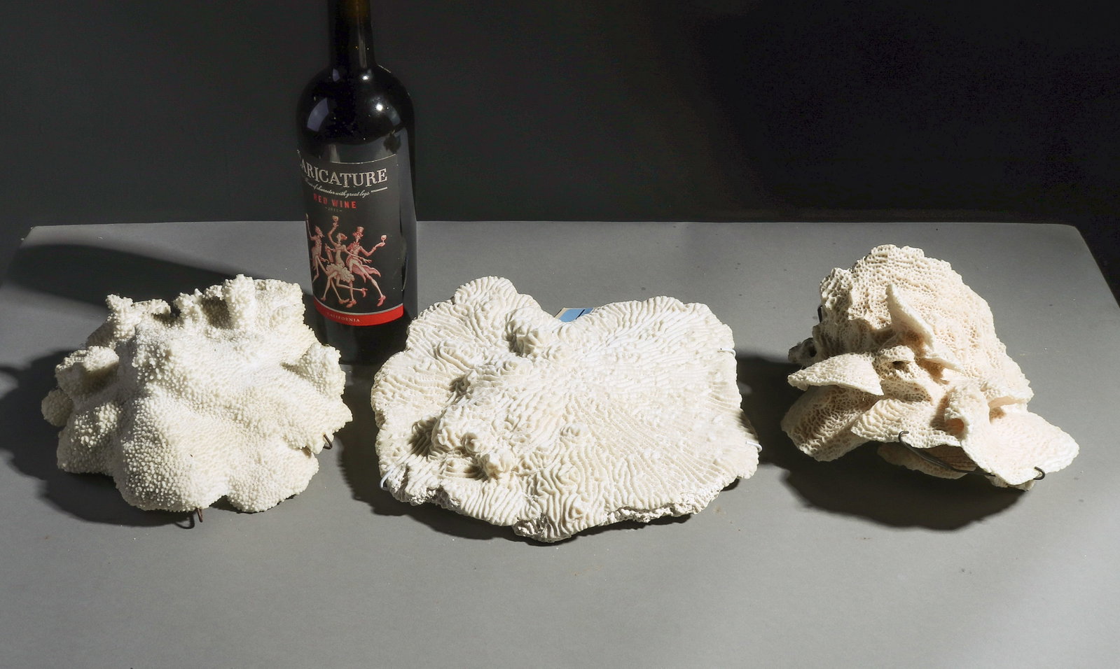 3pcs - Brain Coral, Catspaw Coral & Lettuce Coral: 3pcs - Brain Coral, Catspaw Coral & Lettuce Coral - 5 in tall x 9 x 6.5, 5 in tall x 8.5 x 8 and 2.5 in tall x 10 x 10