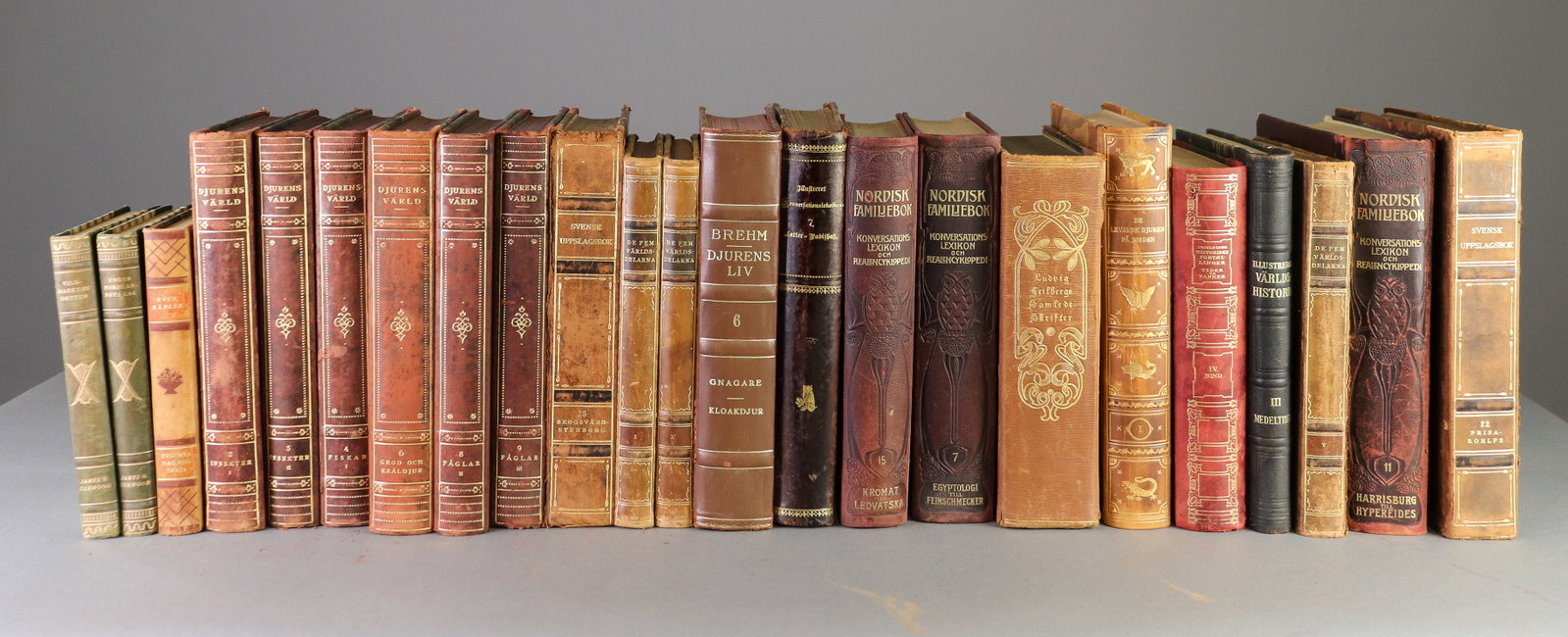 23 Leather Bound European Books / Novels (1 of 10)