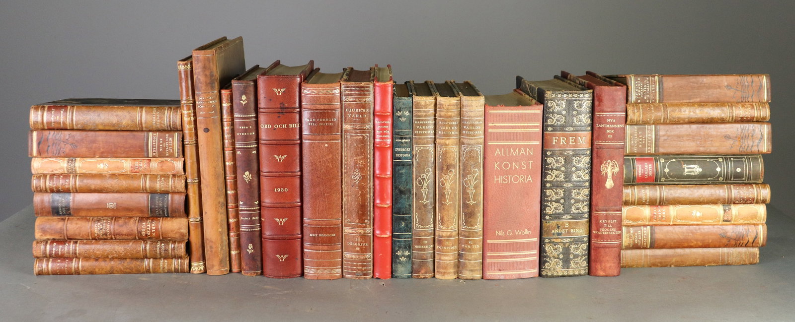 31 Leather Bound European Books / Novels (1 of 11)
