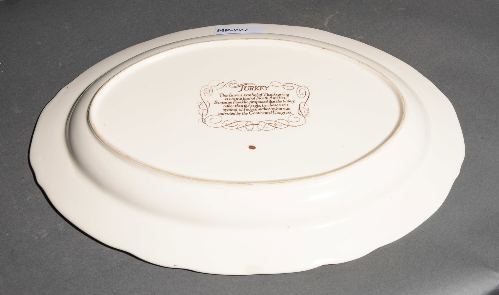 Large Oval Turkey Platter - 4