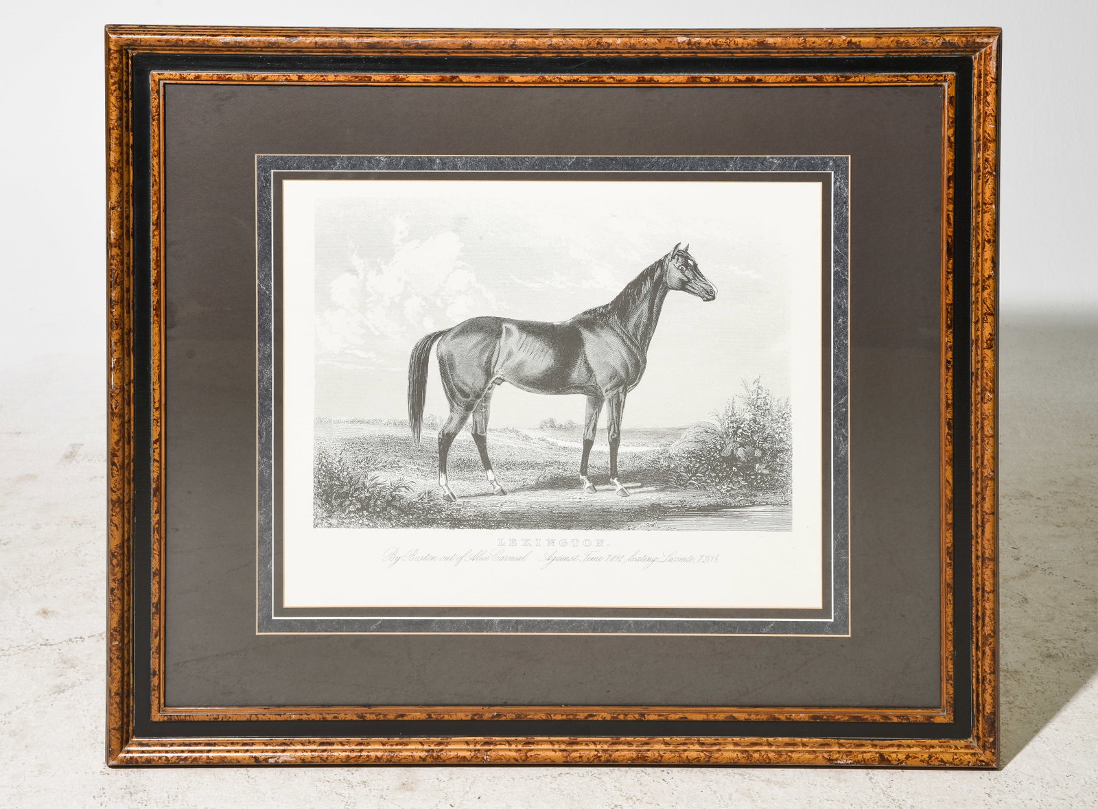 Large Framed Horse Lithograph / Print: Large Framed Horse Lithograph / Print - 34.5 in tall x 40.5 x 1.25
